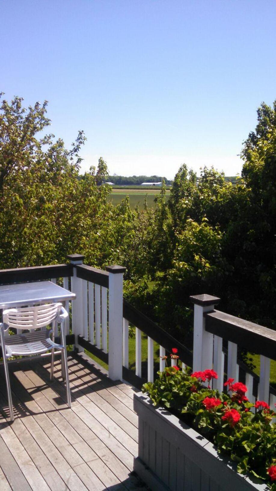 Villa Large Modern North Fork Barn:Vineyards In Backyard, Harbes Farms Mattituck Exterior foto